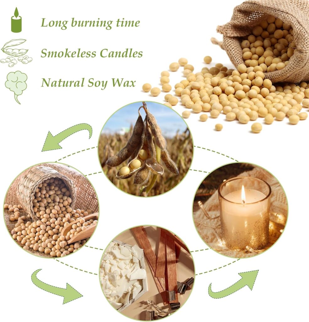 TRINIDa Soy Wax Flakes 450g, Premium Natural Candle Wax 1LB, 100% Soy Wax for Candle Making from Organic Farm, No Additives, Harmless and Pure