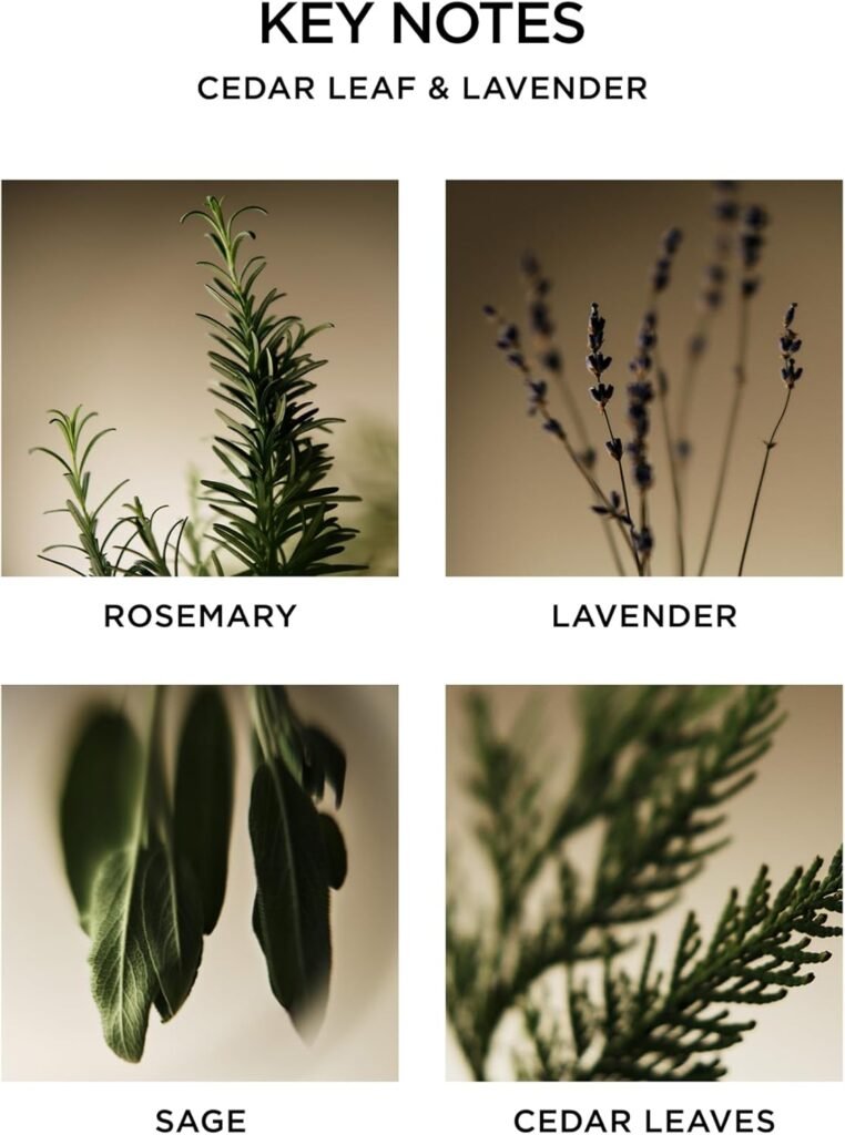 NEST New York Scented 3-Wick Candle, Bamboo - 21.2 oz - Up to 100-Hour Burn Time - Reusable Glass Vessel