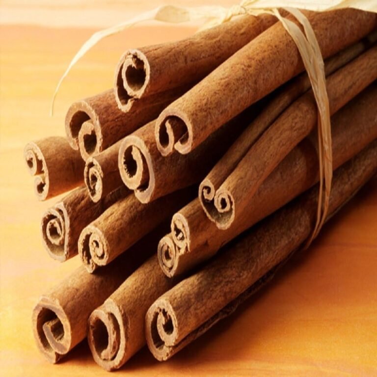 Cinnamon sticks fragrance oil 16 oz bottle for candle making soap making tart making room sprays lotions car fresheners 1 1