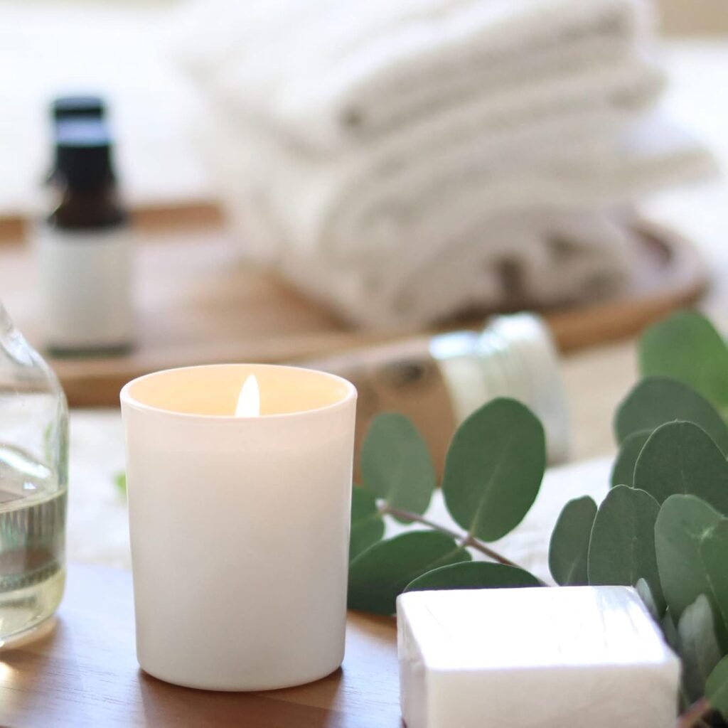 Thick Candle Jars for Making Candles 20 Pcs, 7 OZ Empty Jars with Wood Lids for Candle Making, Sample Container, Clear Thick Candle Jars for Making Candles 20 Pcs, 7 OZ Empty Jars with Wood Lids for Candle Making, Sample Container, Clear